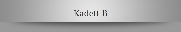 Kadett B
