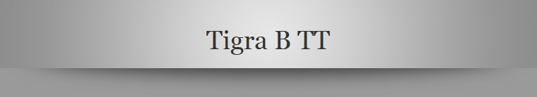 Tigra B TT