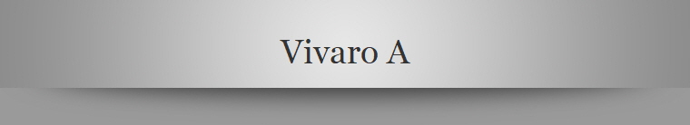 Vivaro A
