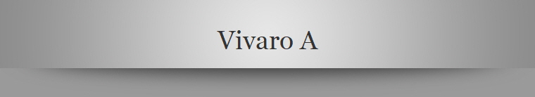 Vivaro A