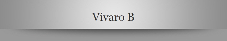 Vivaro B
