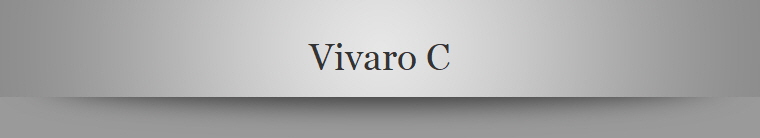 Vivaro C