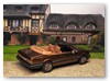 Ascona C2 Cabrio Voll Bild 1b

Hersteller: NeoScaleModells (44615)
braunmetallic Auflage 999 Stück 04/2012