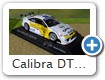 Calibra DTM 1995 Bild 6

Hersteller: Minichamps (430954210)
Auflage und Jahr ???

Zum Original:
Dalmas Nr. 10 fuhr die 95er - Version fr Opel-Team-Joest