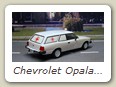 Chevrolet Opala Caravan 1984 Bild 1b

Hersteller: IXO (Veiculos de Servico do Brasil Nr. 26)
Ambulancia Auflage ??? Jahr 2016