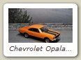 Chevrolet Opala SS Coupe 1976 Bild 2a
Hersteller: Premium X
orange Auflage ??? Anfang 2014