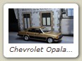 Chevrolet Opala Diplomata 4.1 Limousine 1988 Bild 1
Hersteller: IXO (Chevrolet do Brazil Nr. 18)
weissgold Auflage ??? 07/2016