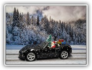 GT Roadster Bild 5a

Hersteller: Schuco (04776)
Weihnachtsedition schwarz unlimitiert Ende 2009