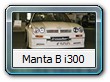 Manta B i300
Der stärkste Irmscher i300 hatte einen 3,0l - Motor mit 176 PS bei 220 km/h und verkauft sich nur 27 mal.