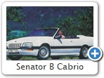 Senator B Cabrio

Firma Keinath baute diese bildhbsche Cabrio. Leider blieb es bei diesem Prototypen.