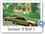 Senator B Bild 1

Hersteller: GAMA
astrosilber, platinmetallic Auflagen und Jahr ???

Es gibt noch: 
graumetallic, blaumetallic, schwarz