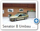 Senator B Umbau Phase 2/1
Später habe ich noch andere Räder montiert. Diese Schmuckstück taufte ich "sueño oro" (Goldtraum).