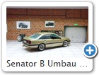Senator B Umbau Phase 2/2
Später habe ich noch andere Räder montiert. Diese Schmuckstück taufte ich "sueño oro" (Goldtraum).