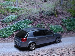 Signum A1 Bild 2b
Hersteller: Schuco (17990xx)
lichtsilber Auflage ??? Mitte 2003, Opel-Werbemodell