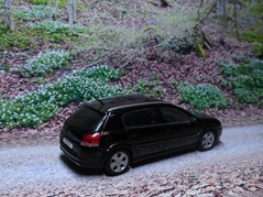Signum A1 Bild 3b
Hersteller: Schuco (1799092)
saphirschwarzmetallic Auflage ??? Mitte 2003, Opel-Werbemodell
