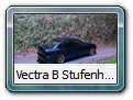 Vectra B Stufenheck Tuning Bild 1b
Hier ein Vorschlag von mir, wie man einen Vectra veredeln könnte. Das Originalmodell stammt von Schuco und habe es bei homburgmodell umbauen lassen. Das Stufenheck heißt nun " angel oscuro (dunkler Engel) "